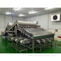 Industrial Grading Machine For Shrimp And Fish